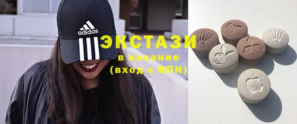 амф Дмитриев