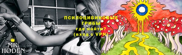 герыч Арсеньев
